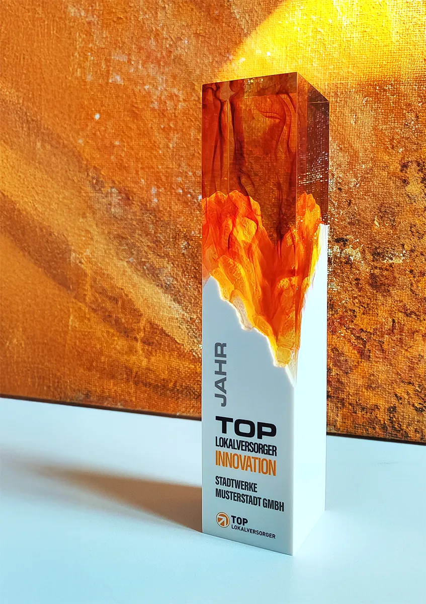 Der Innovation Award als Anerkennung für innovative Versorgungsunternehmen.